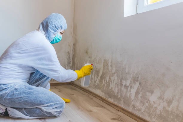 Licensed Crawl Space Mold Removal service in Denton, MD - WQB Mold Removal