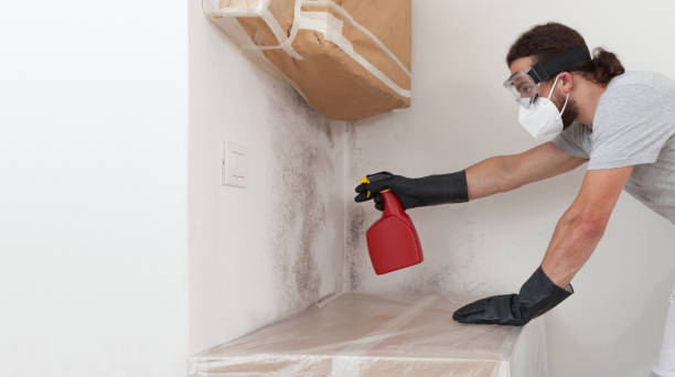 Professional Crawl Space Mold Removal technician working in Denton, MD