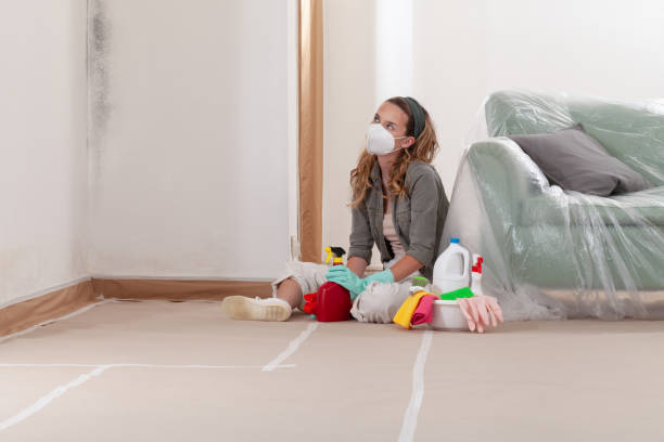 Reliable Crawl Space Mold Removal contractor in Denton, MD by WQB Mold Removal